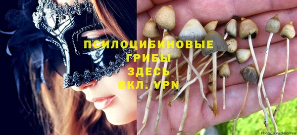 spice Россошь