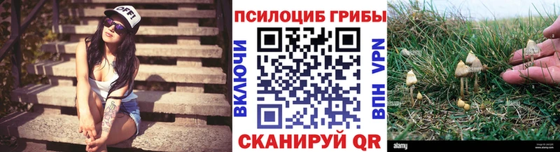 blacksprut зеркало  маркетплейс Telegram  Псилоцибиновые грибы Psilocybe  Уяр 